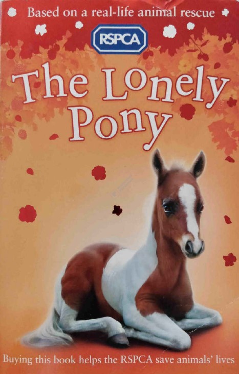 The Lonely Pony