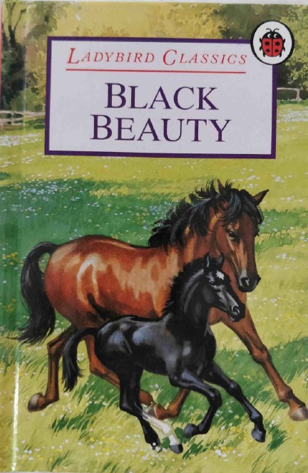 Black Beauty