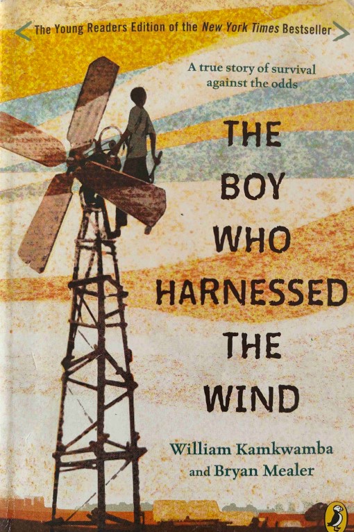 The Boy Who Harnessed the Wind by Bryan Mealer and William Kamkwamba
