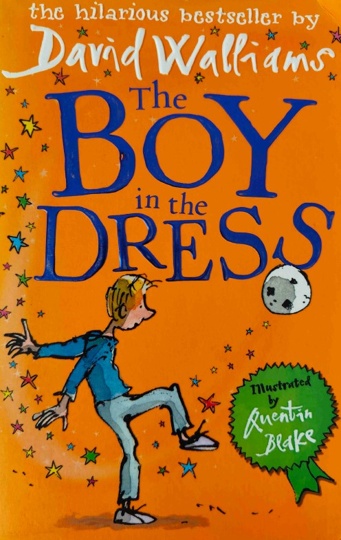 The Boy in the Dress by David Walliams
